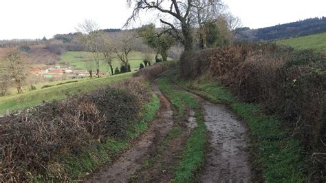 Les B Timents Et Chemins En Discussion Saint Bonnet Des Bruy Res Le