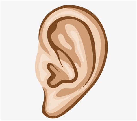 Ear Vector at GetDrawings | Free download