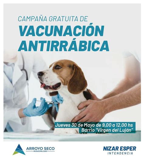 Campa A Gratuita De Vacunaci N Antirr Bica Para Perros Y Gatos