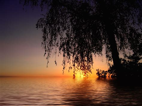 Kostenlose Foto Landschaft Baum Wasser Natur Horizont Licht