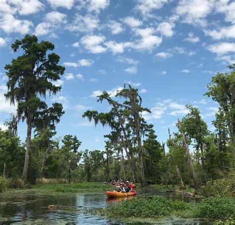 Honey Island Swamp Kayak Tours New Orleans Swamp Tours