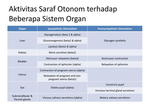 Ppt Obat Sistem Saraf Otonom Powerpoint Presentation Free Download Id 2053015