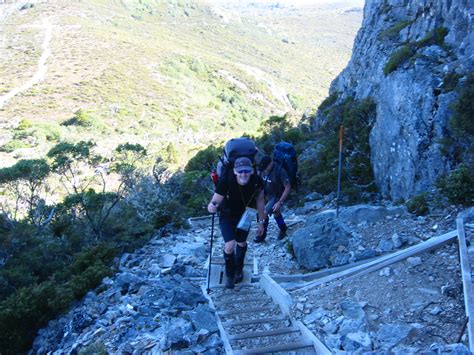 The Overland Track Tasmania Hiking Information