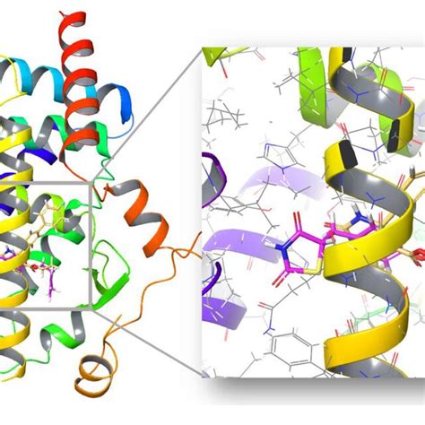 Cartoon Representation Of The Cross Docked Ligand Cl And Protein