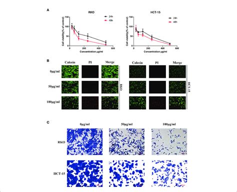 S Officinalis Inhibits Colorectal Cancer Crc Cell Proliferation