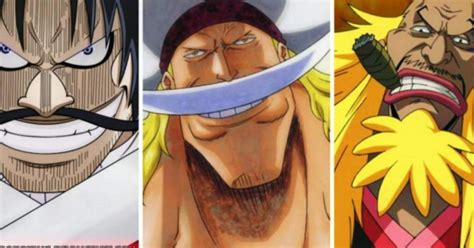 Tripulaciones One Piece Wiki Anime Amino