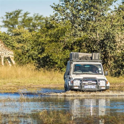 Botswana 4x4 Safari Au Coeur De Lafrique Geko Expeditions