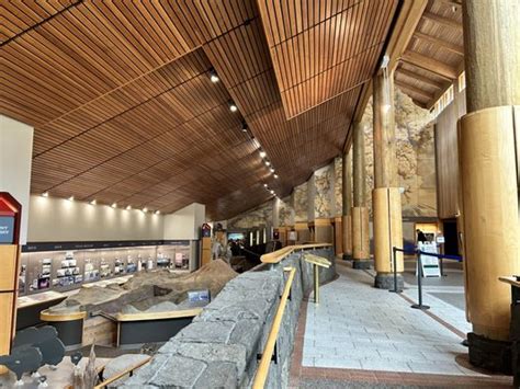 MT ST HELENS VISITOR CENTER - Updated September 2024 - 155 Photos & 60 ...