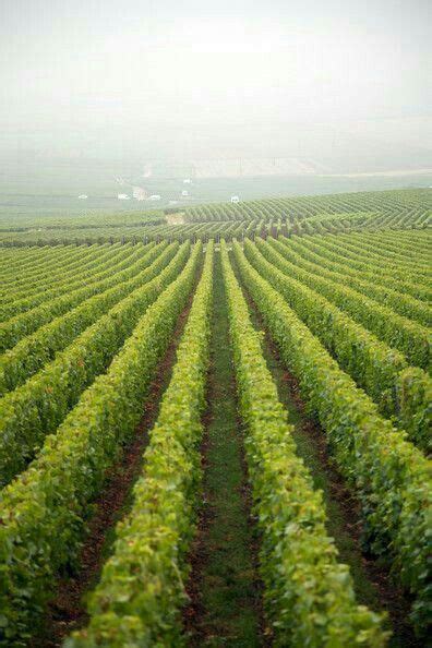 Pin de Gerald Garikai Gumbo en AGrik Hermosas casas de árboles