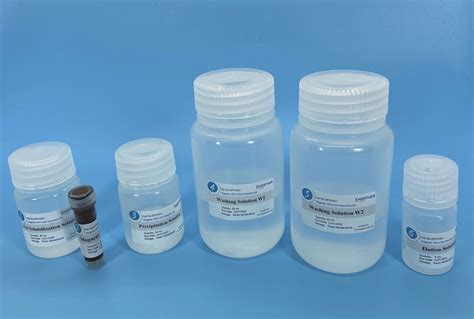 Agarose Gel Reagent Kit 100 Preps The Emerther Company For Dna