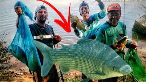 Pesca De Curimba E A Farra Foi Boa Amantes Da Pesca YouTube