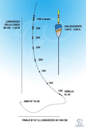 Pesca Bolognese L Attrezzatura Le Montature E Le Strategie