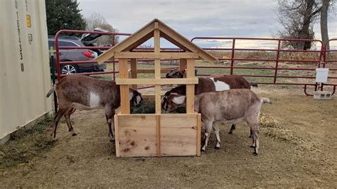 No Waste Goat Hay Feeder Goat Hay Feeder Goat Feeder Goats