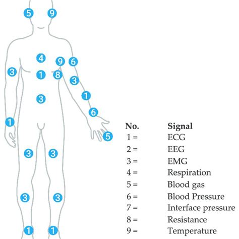 A Simplified Map Of The Bio Signals To Be Measured From The Human Body