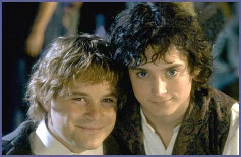 12 best images about LOTR: Frodo Baggins and Samwise Gamgee. on ...