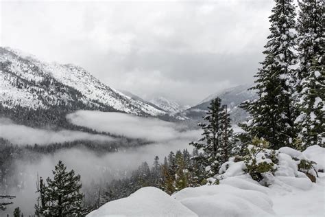 Kostenlose Foto Landschaft Baum Wald Wildnis Berg Schnee Kalt