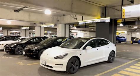 Hertz Tesla Model 3 rentals expand to Canada [Update] - Drive Tesla