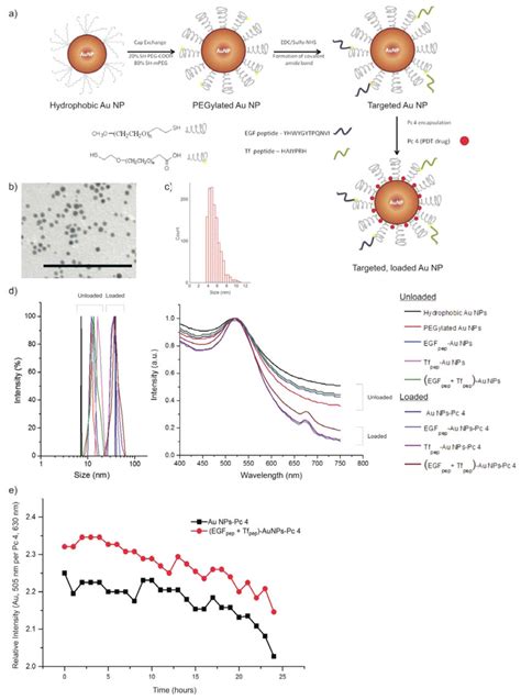 Characterization Of Synthesized Aunps A Design Of A Dual Targeted