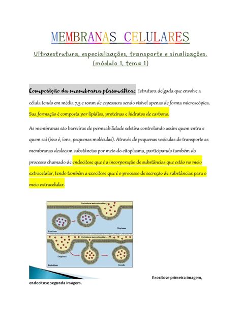 Estrutura Composição E Funções Da Membrana Plasmática Celular Pdf