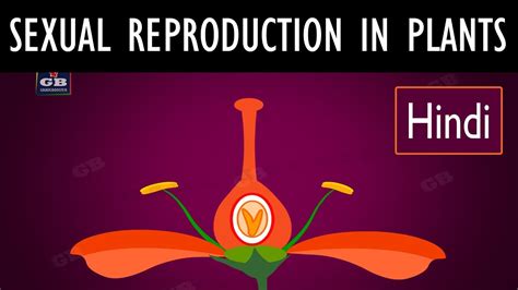 Sexual Reproduction In Flowering Plants In Hindi 10th Biology