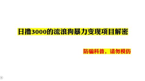 日撸3000的流浪狗暴力变现项目解密，防骗科普，请勿模仿 Youtube