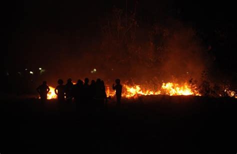 Pabrik Briket Terbakar Kerugian Capai Rp100 Juta