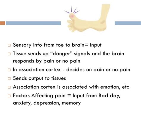 Pain Flashcards Quizlet