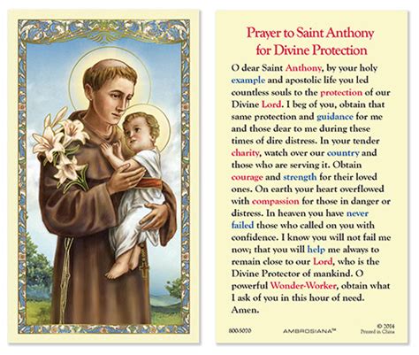 Prayer To St Anthony Laminated Holy Card Pack