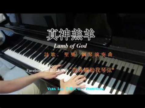 真神羔羊 Lamb of God 基督教詩歌 鋼琴演奏版 Piano Cover Vera Lee YouTube