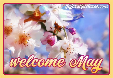 gujarati pictures website dedicated  gujarati community