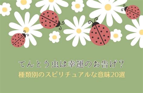 てんとう虫は幸運のお告げ？種類別のスピリチュアルな意味20選！ Spicomi