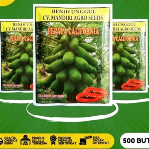 Jual Benih Pepaya Unggul Calina Mandiri Agro Seeds Isi Kmasan 10gr