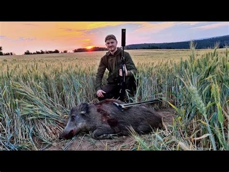 Weizenpirsch Jagd Auf Sau Bock Jagdkrone Youtube