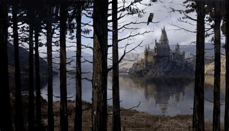 100 The Hogwarts Lake Wallpapers