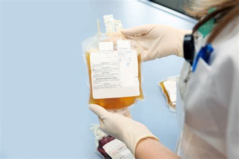 Why Is It Important To Donate Plasma