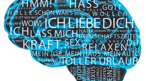 Neuroimaging Der Traum Vom Gedankenlesen Spektrum Der Wissenschaft