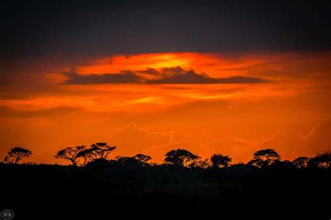 Da St Lucia Isimangaliso Wetland Park Night Drive Safari Getyourguide