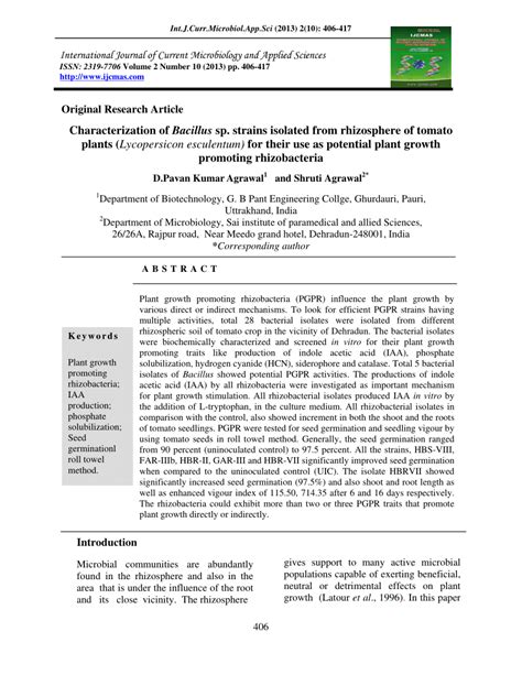 Pdf Characterization Of Bacillus Sp Strains Isolated From