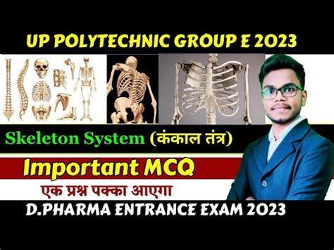 Skeleton System MCQ Biology MCQ For D Pharma Entrance Exam UP