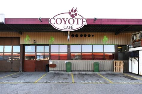 Pour Rouvrir Le Coyote A Besoin De Ses Clients 24 Heures