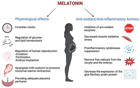 Biomedicines Free Full Text The Role Of Melatonin In Pregnancy And