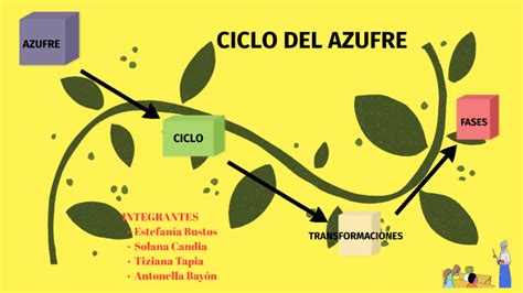 Ciclo Del Azufre By Estefania Bustos On Prezi