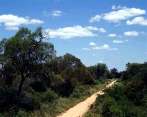 5000ha Al Norte De Pampa Del Infierno Chaco Agroads