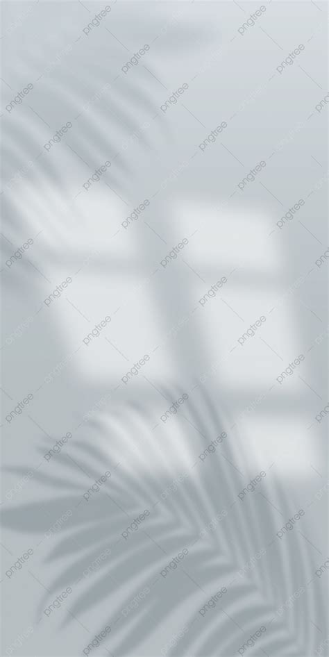 Palm Leaf Light And Shadow Overlay On Gray Background Wallpaper Image ...