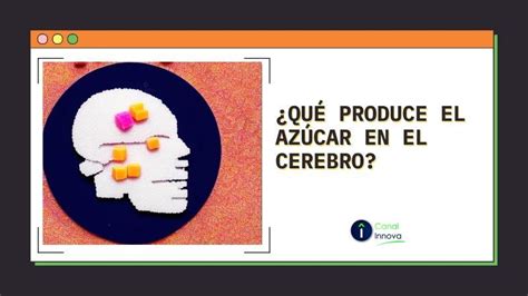 ¿qué Produce El Azúcar En El Cerebro 【 Canal Innova