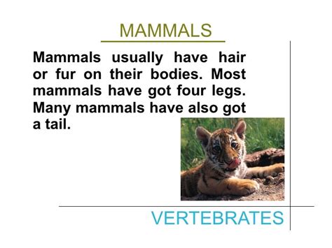 Vertebrates