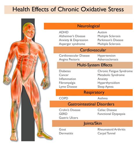 Oxidatieve Stress » Infrarood Gezondheid | Thermo Medica
