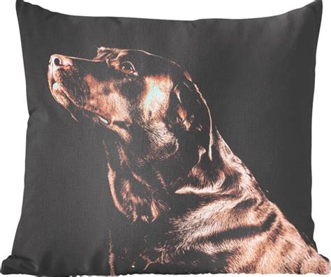 Sierkussen Hond Portret Multicolor Cm X Cm Bol