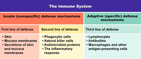 Immunity Ms Gallagher S Classroom