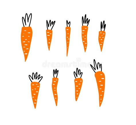 Set Of Hand Drawn Doodle Carrots Vector Art Stock Vector